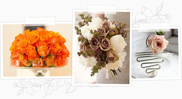 Making your dreams & ideas a reality, regardless of style or trend